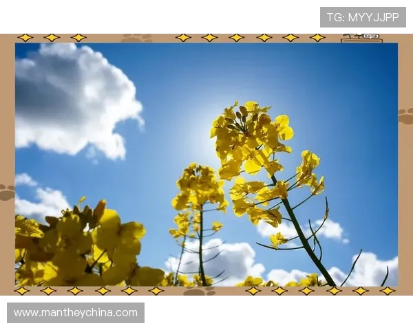 钟义浩：坦然面对人生起伏以积极心态迎接最佳状态